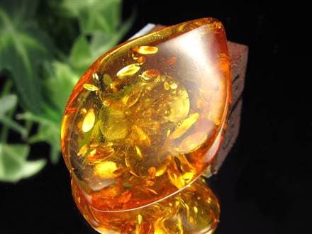 アンバー バルティックアンバー 琥珀 カボション タンブル