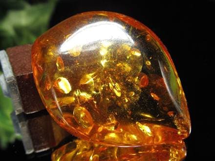 アンバー バルティックアンバー 琥珀 カボション タンブル