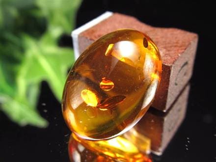 アンバー バルティックアンバー 琥珀 カボション タンブル