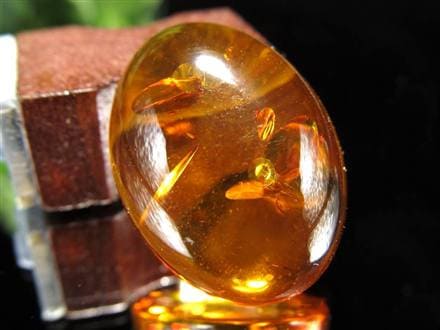 アンバー バルティックアンバー 琥珀 カボション タンブル