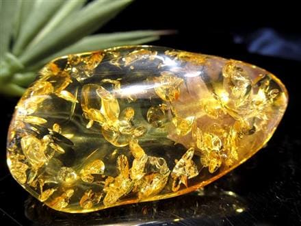 アンバー リトアニア バルティックアンバー 琥珀 ハニーアンバー