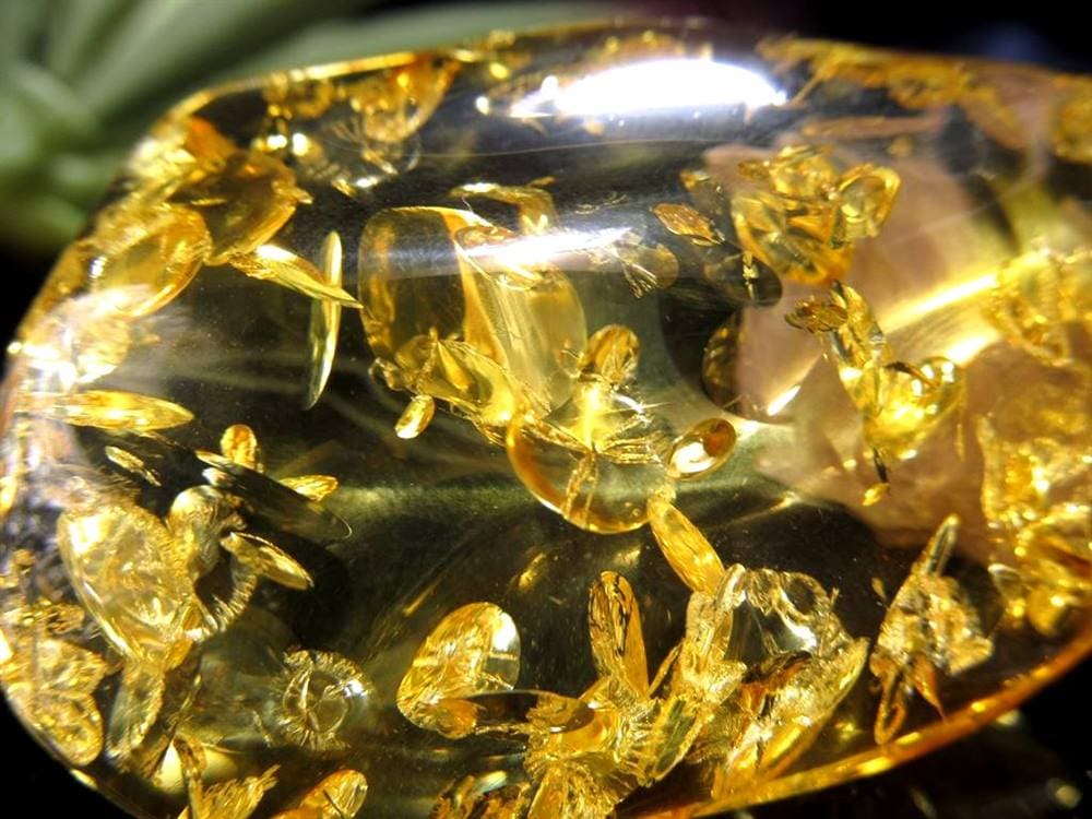 アンバー リトアニア バルティックアンバー 琥珀 ハニーアンバー