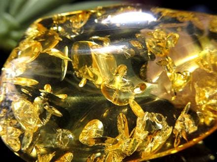 アンバー リトアニア バルティックアンバー 琥珀 ハニーアンバー