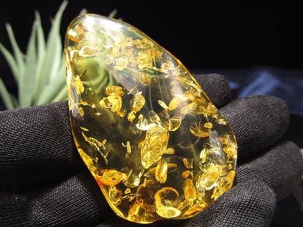 アンバー リトアニア バルティックアンバー 琥珀 ハニーアンバー