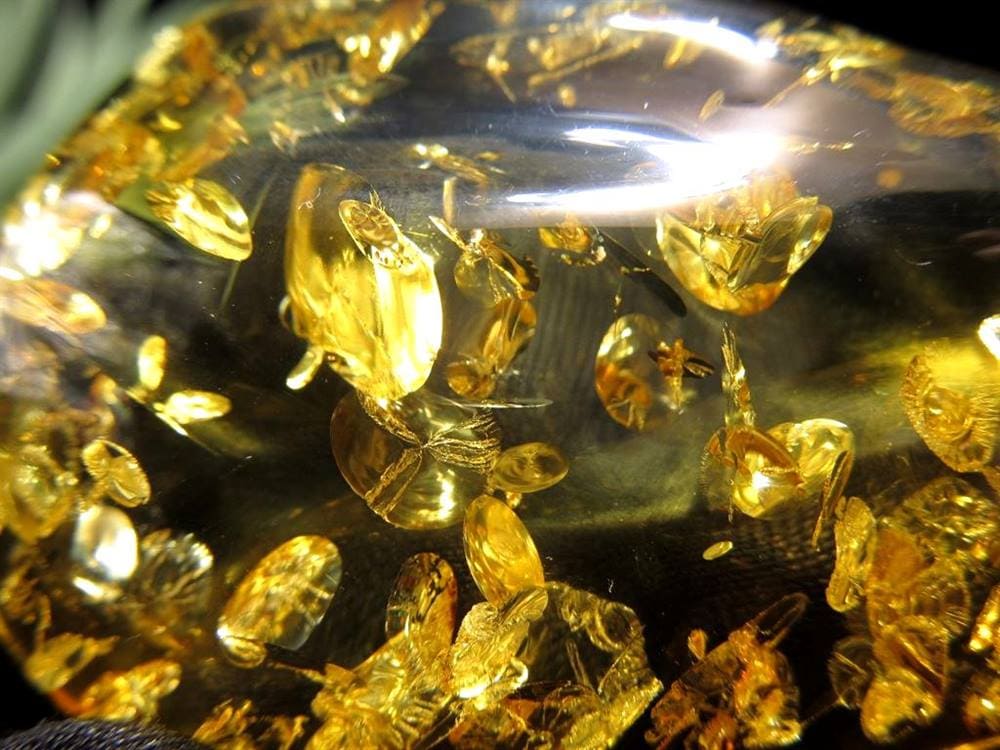 アンバー リトアニア バルティックアンバー 琥珀 ハニーアンバー