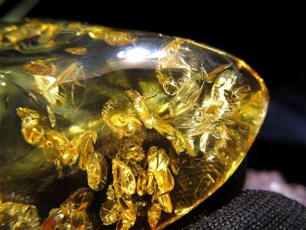 アンバー リトアニア バルティックアンバー 琥珀 ハニーアンバー