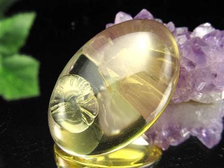 アンバー 琥珀 バルト海産 コハク カボション