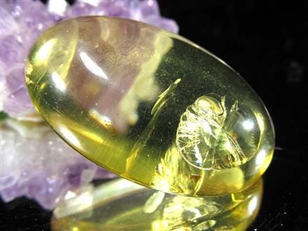 アンバー 琥珀 バルト海産 コハク カボション