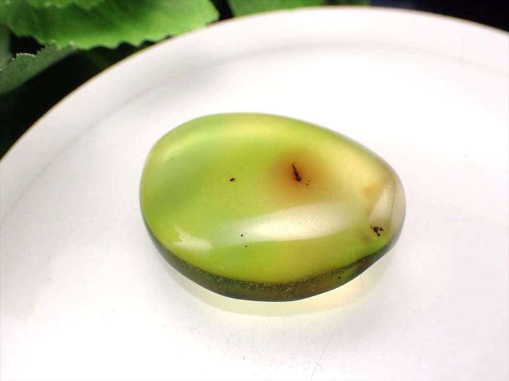 アンバー 琥珀 虫入り バルト海産 タンブル