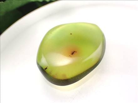 アンバー 琥珀 虫入り バルト海産 タンブル