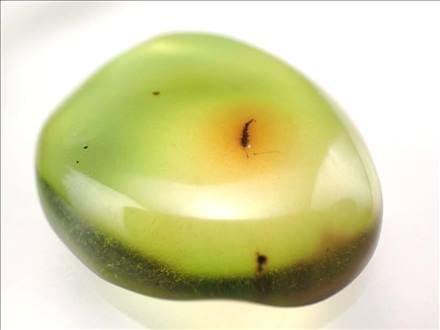 アンバー 琥珀 虫入り バルト海産 タンブル