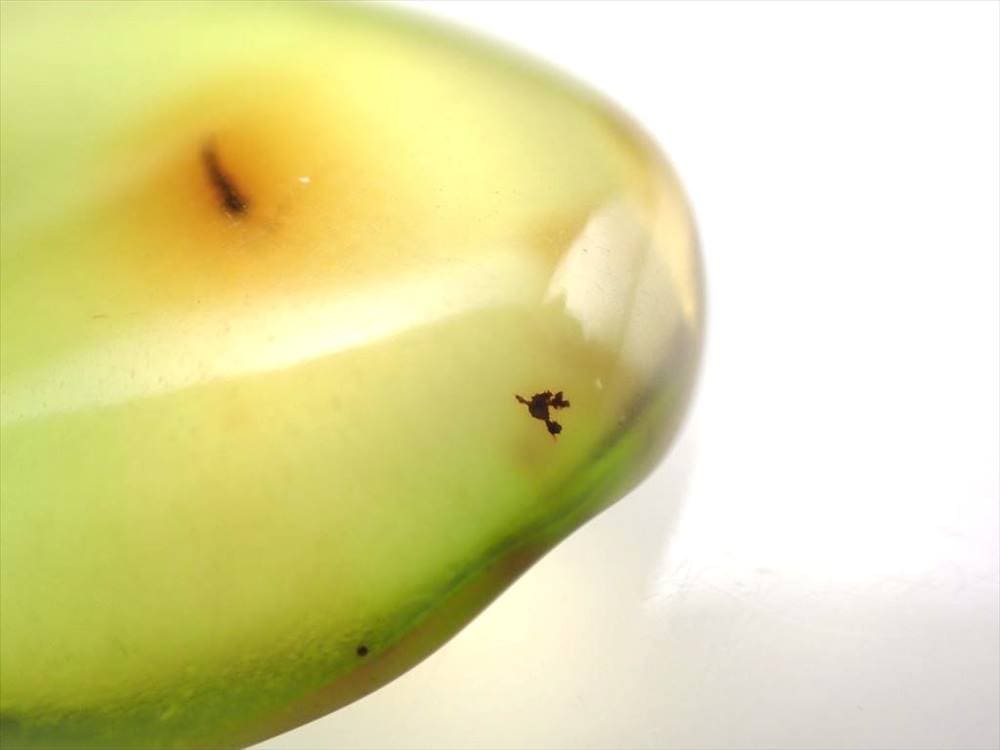 アンバー 琥珀 虫入り バルト海産 タンブル