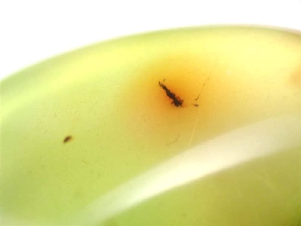 アンバー 琥珀 虫入り バルト海産 タンブル