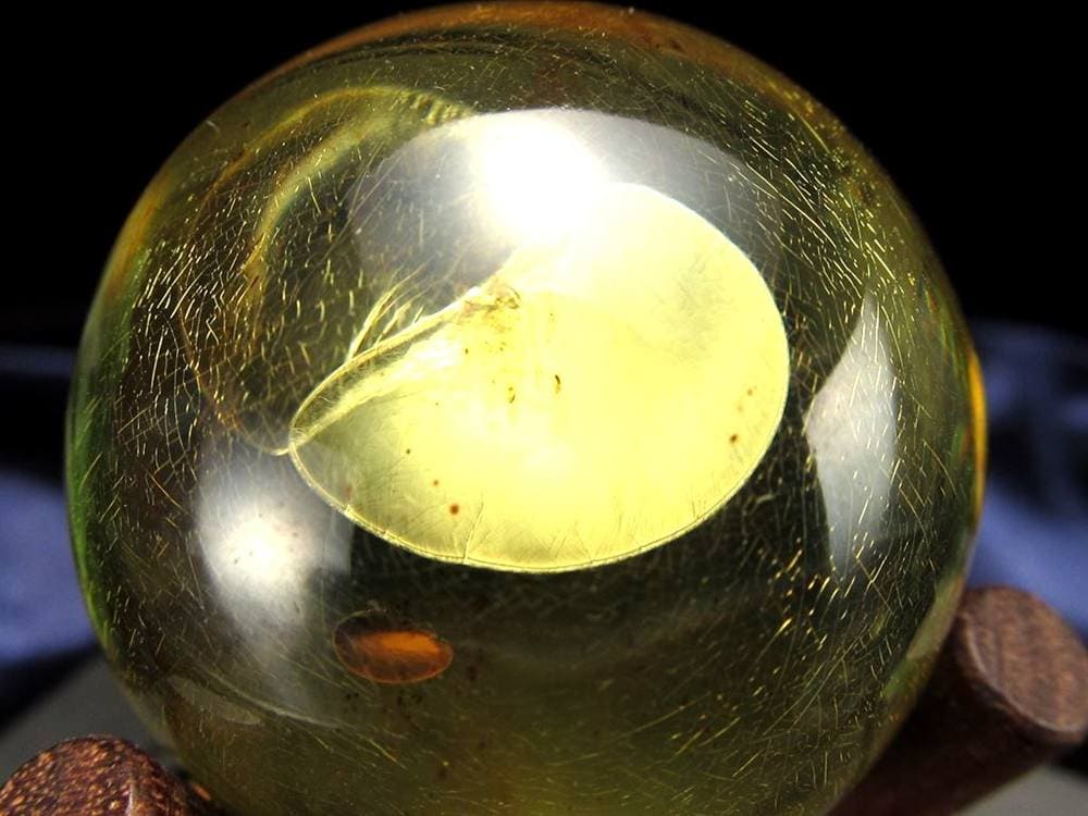 アンバー 琥珀 スフィア バルト海産 バルティックアンバー