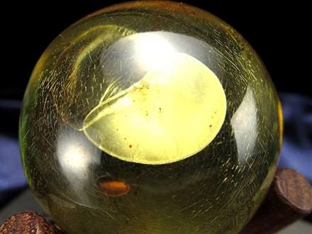 アンバー 琥珀 スフィア バルト海産 バルティックアンバー