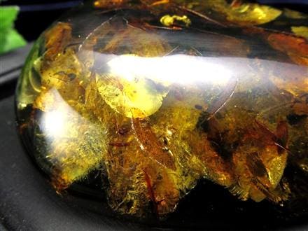 アンバー 天然琥珀 天然石 パワーストーン