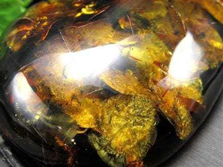 アンバー 天然琥珀 天然石 パワーストーン