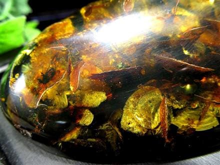 アンバー 天然琥珀 天然石 パワーストーン