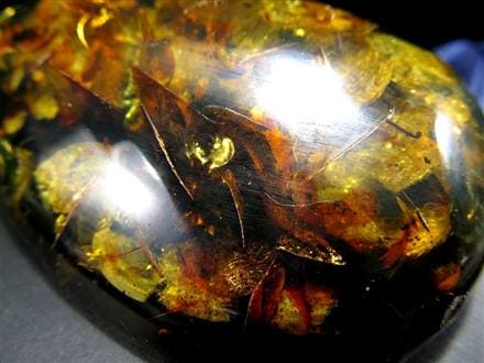 アンバー 天然琥珀 天然石 パワーストーン