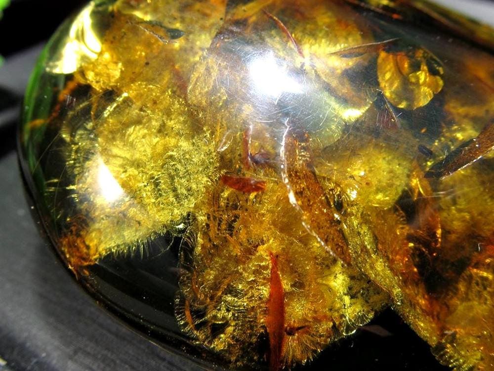 アンバー 天然琥珀 天然石 パワーストーン