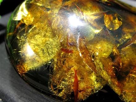 アンバー 天然琥珀 天然石 パワーストーン