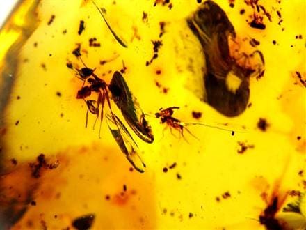 アンバー 天然琥珀 天然石 パワーストーン