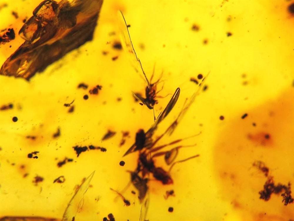 アンバー 天然琥珀 天然石 パワーストーン