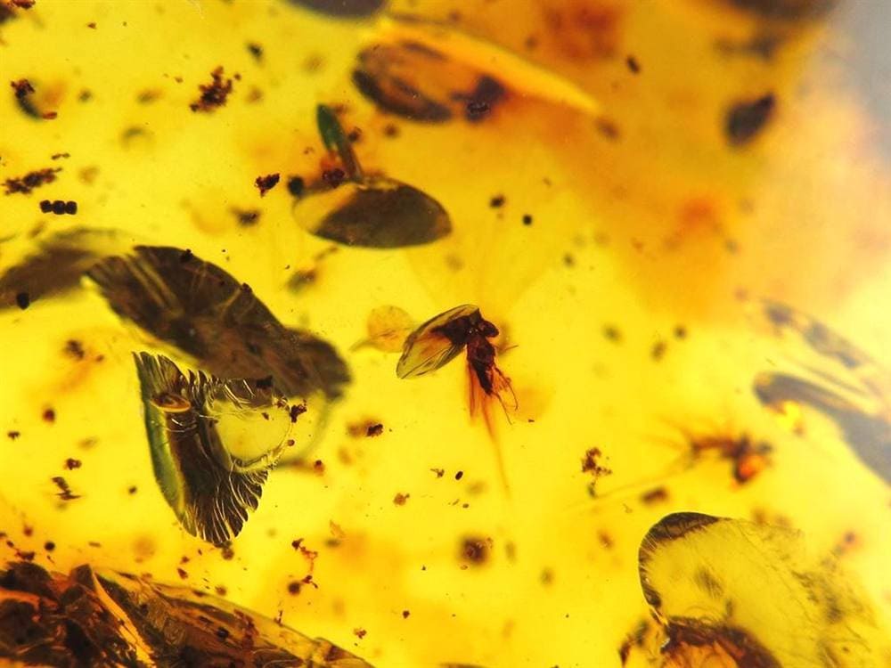 アンバー 天然琥珀 天然石 パワーストーン