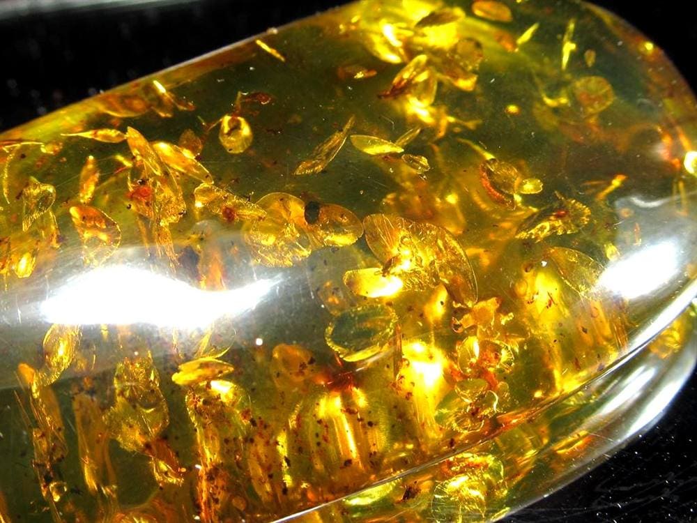 アンバー 天然琥珀 天然石 パワーストーン