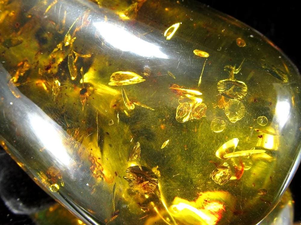 アンバー 天然琥珀 天然石 パワーストーン