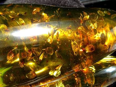 アンバー 天然琥珀 天然石 パワーストーン