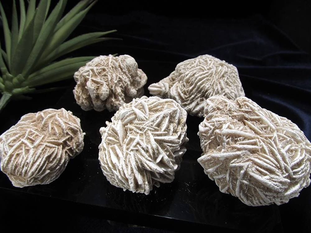 デザートローズ セレナイトローズ 砂漠の薔薇 ジプサムローズ メキシコ産