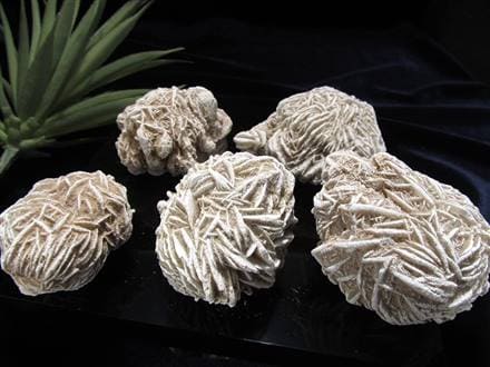 デザートローズ セレナイトローズ 砂漠の薔薇 ジプサムローズ メキシコ産