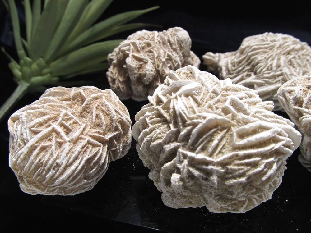 デザートローズ セレナイトローズ 砂漠の薔薇 ジプサムローズ メキシコ産