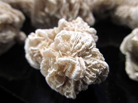 デザートローズ セレナイトローズ 砂漠の薔薇 ジプサムローズ メキシコ産