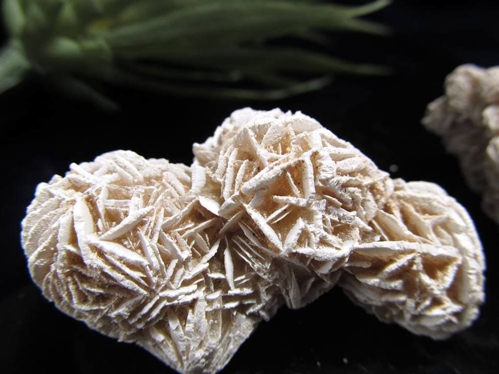 デザートローズ セレナイトローズ 砂漠の薔薇 ジプサムローズ メキシコ産