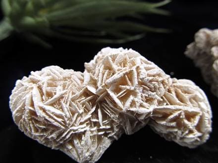 デザートローズ セレナイトローズ 砂漠の薔薇 ジプサムローズ メキシコ産