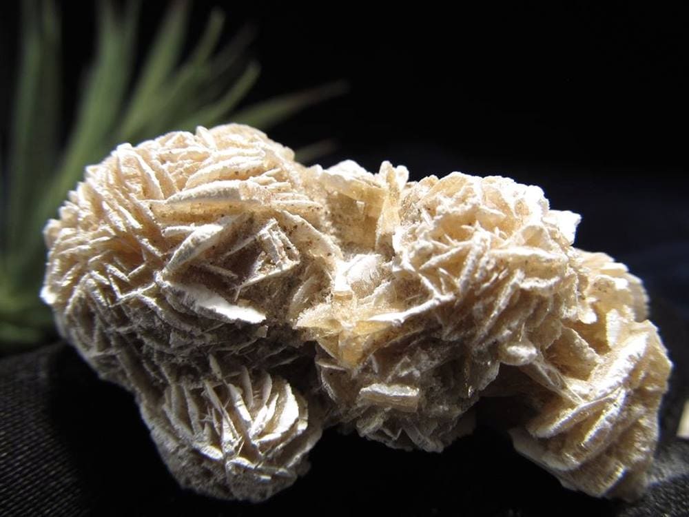 デザートローズ セレナイトローズ 砂漠の薔薇 ジプサムローズ メキシコ産