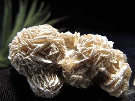 デザートローズ セレナイトローズ 砂漠の薔薇 ジプサムローズ メキシコ産