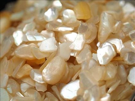 マザーオブパール