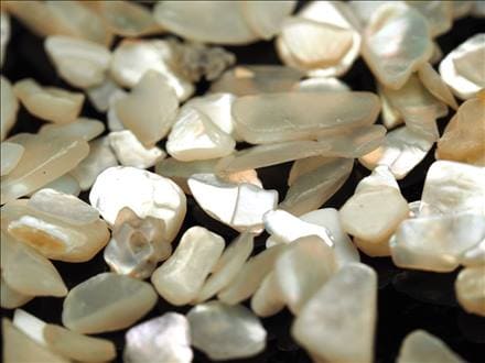 マザーオブパール