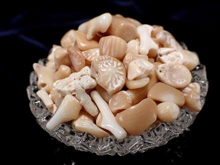 ホワイトコーラルさざれ