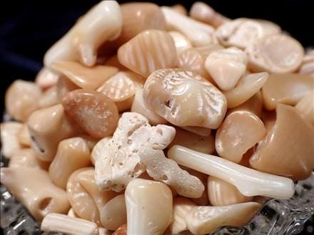 ホワイトコーラルさざれ