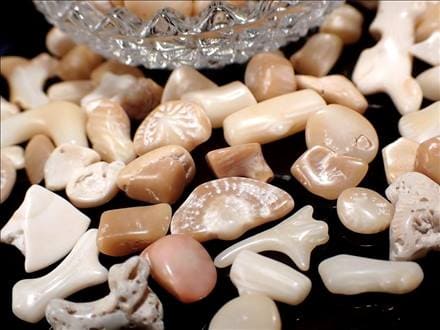 ホワイトコーラルさざれ