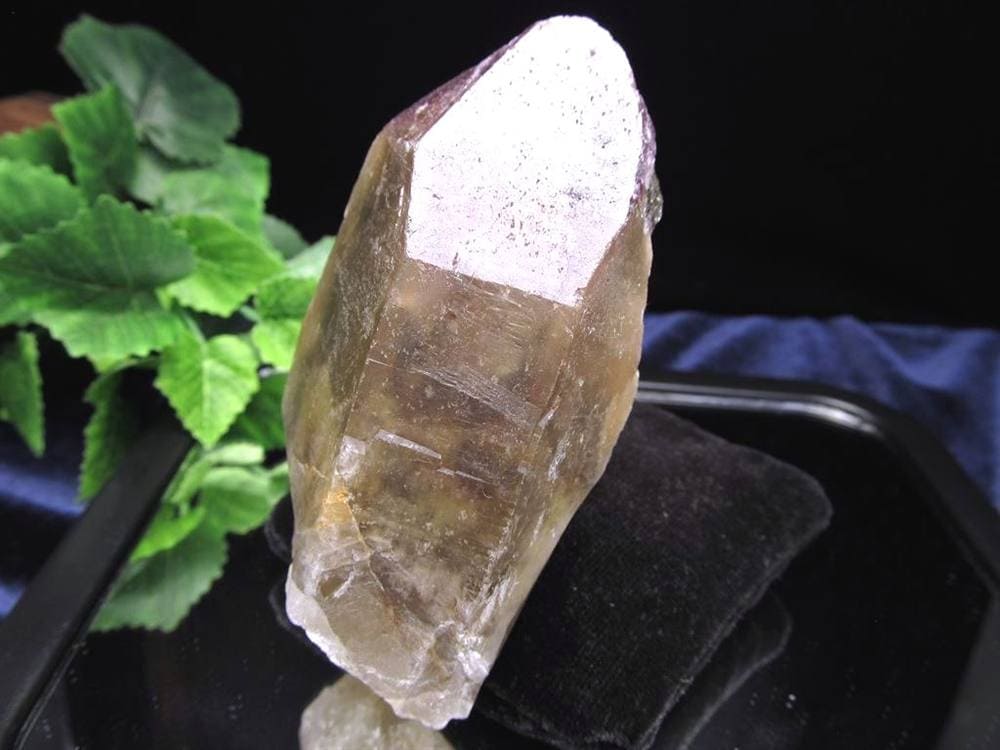 ドリームコートレムリアン ブレスレット レムリアンシードクリスタル レムリアンリッジ レコードキーパー