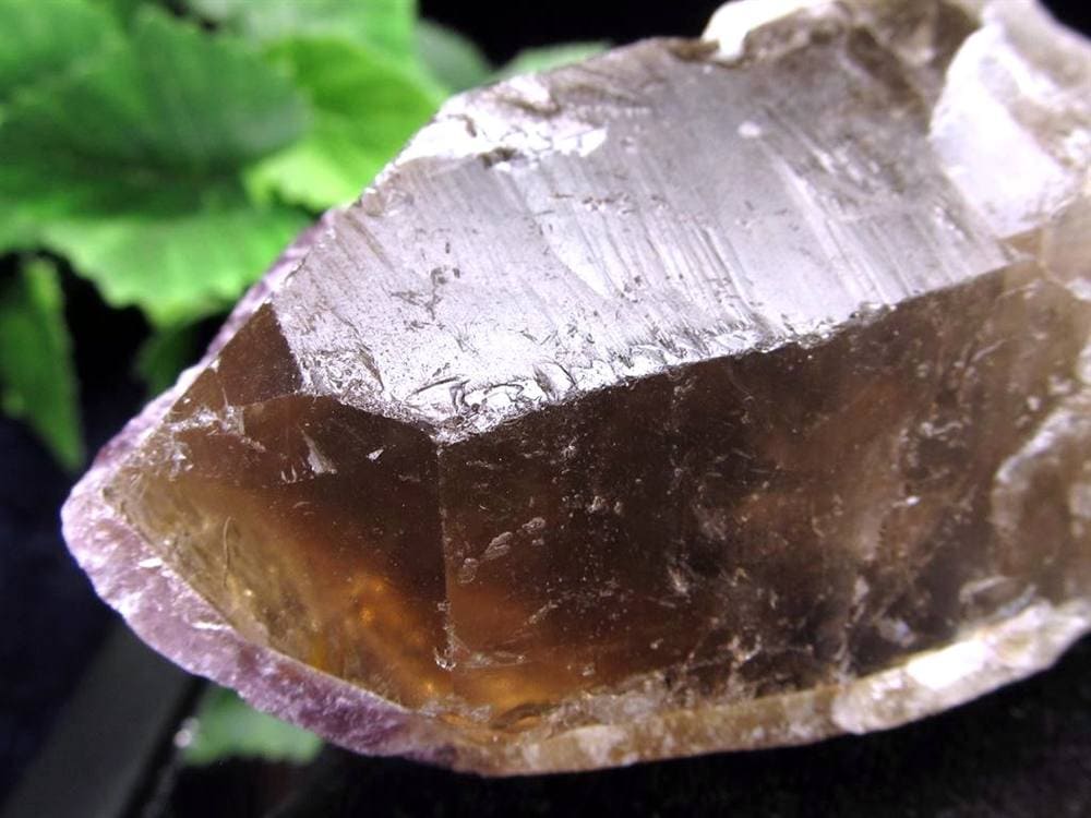 ドリームコートレムリアン ブレスレット レムリアンシードクリスタル レムリアンリッジ レコードキーパー