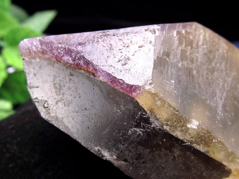 ドリームコートレムリアン ブレスレット レムリアンシードクリスタル レムリアンリッジ レコードキーパー