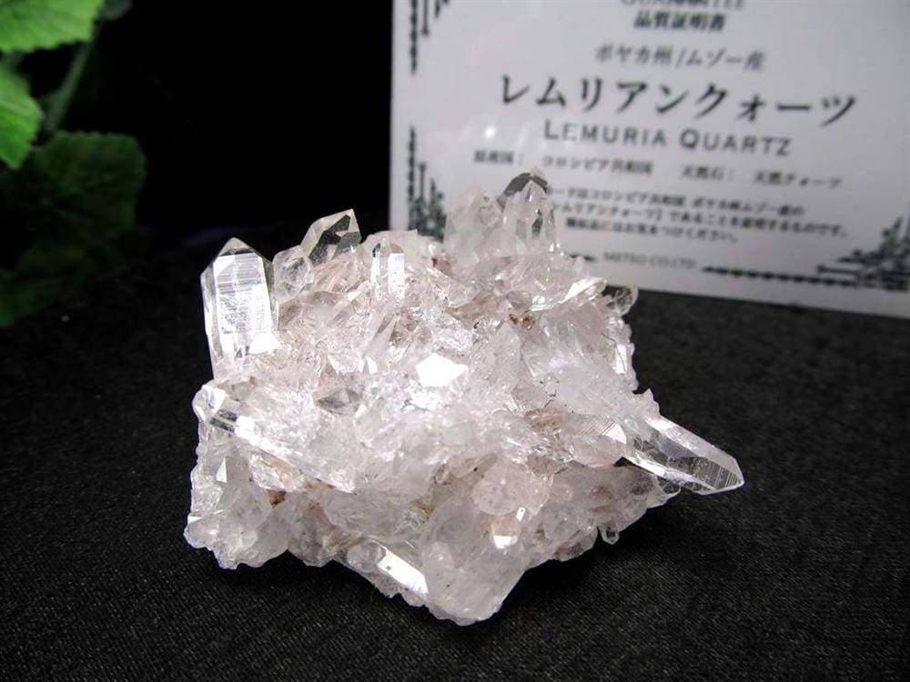 レムリアンシードクリスタル レムリアンリッジ クラスター レムリアン コロンビア産