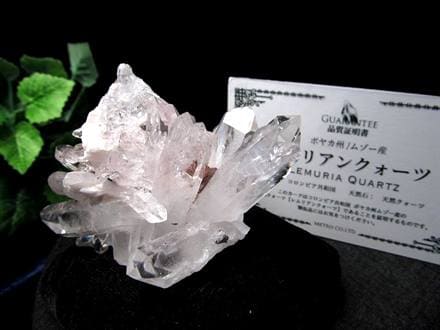 レムリアンシードクリスタル レムリアンリッジ クラスター レムリアン コロンビア産