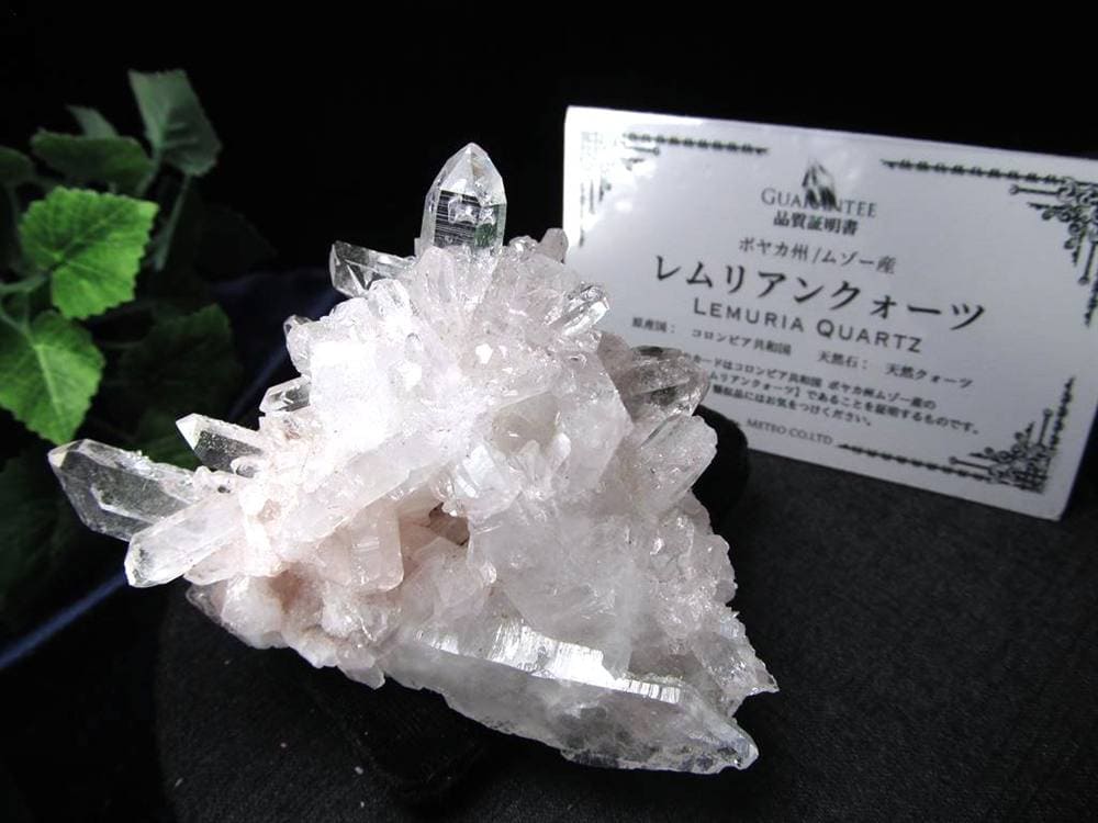 レムリアンシードクリスタル レムリアンリッジ クラスター レムリアン コロンビア産
